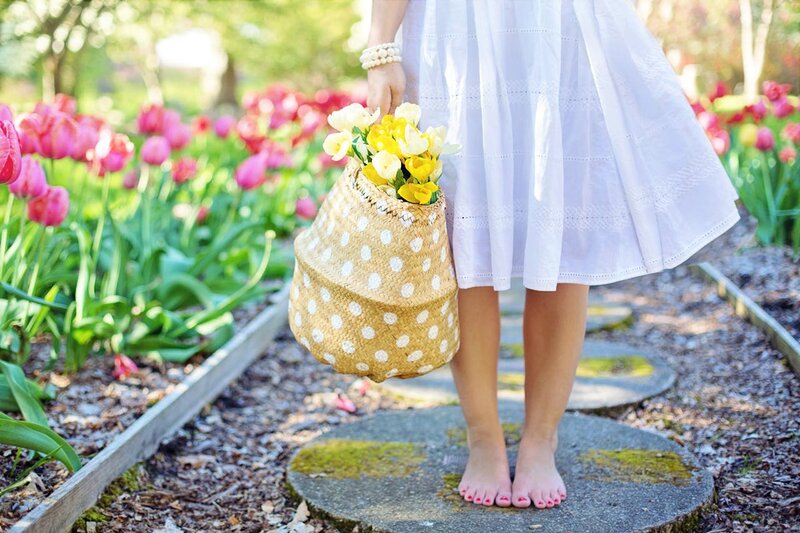 Spring Plant Care