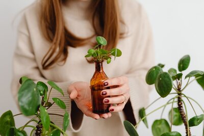 Peperomia